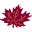 shady-maple logo