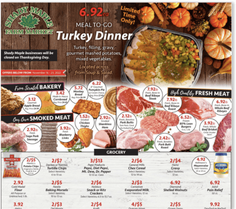 Plan Your Shady Maple Trip