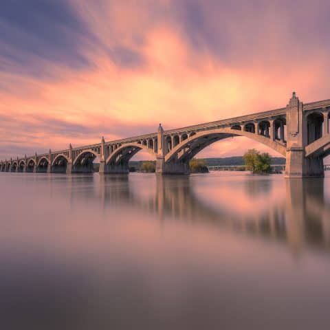 Plan Your Shady Maple Trip