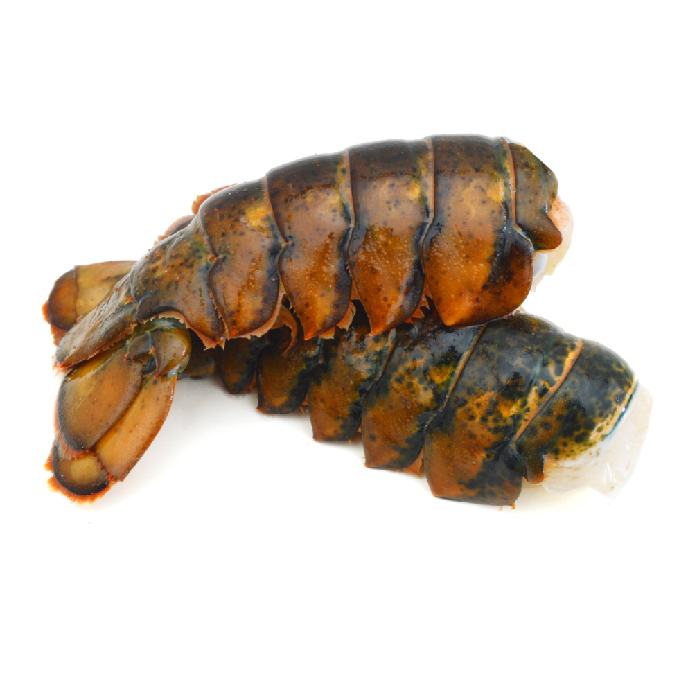 Under the Sea Meat Sale Shady Maple