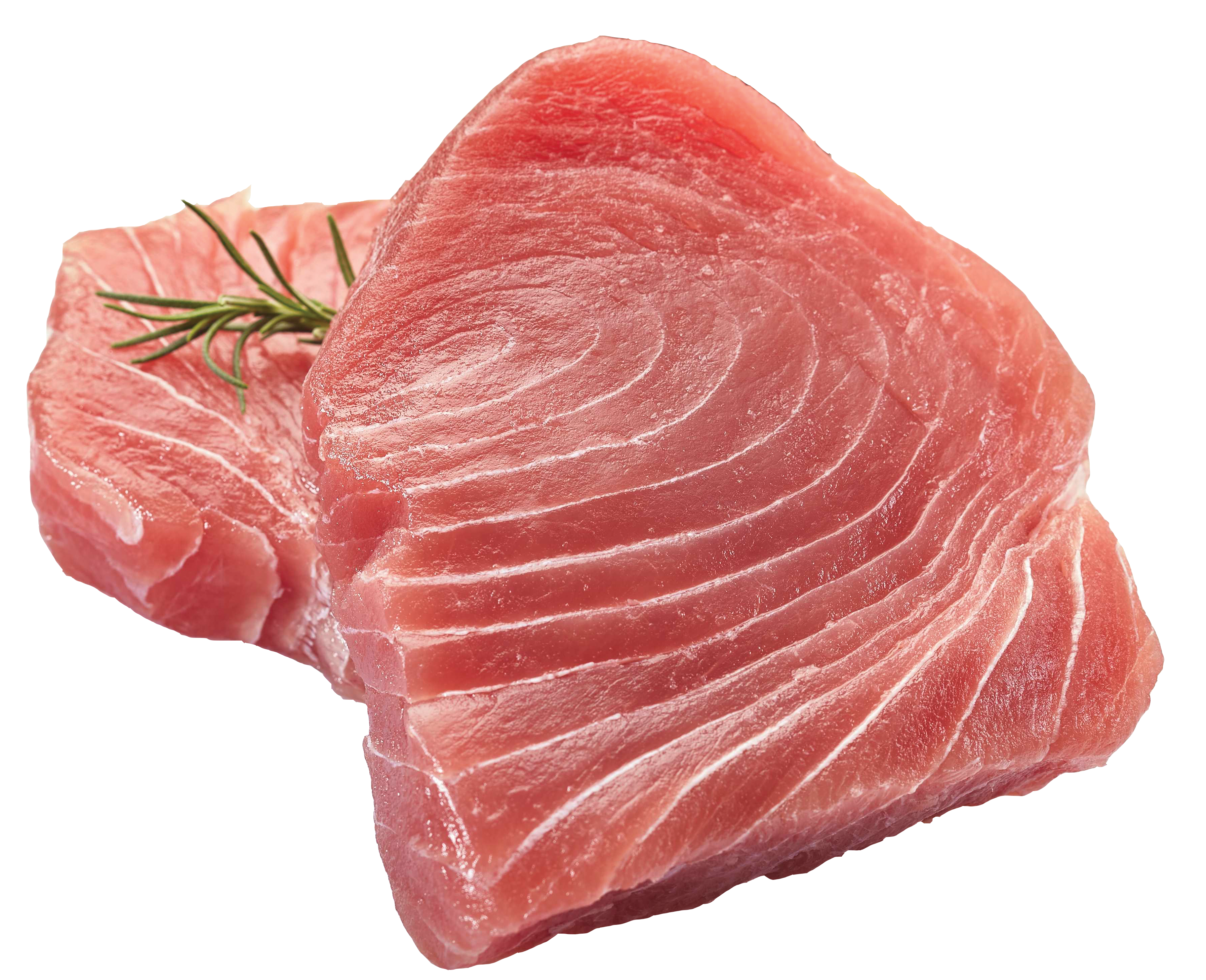 TunaSteak