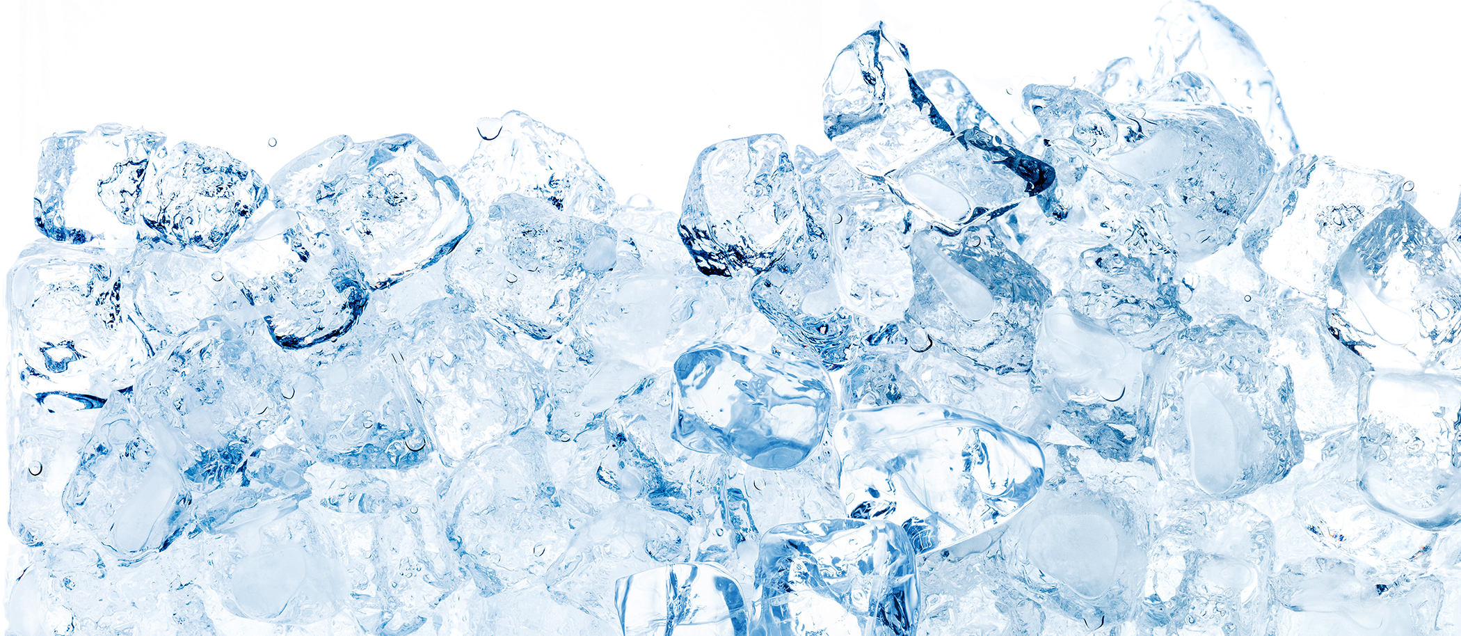 Game Day Meat Sale Shady Maple