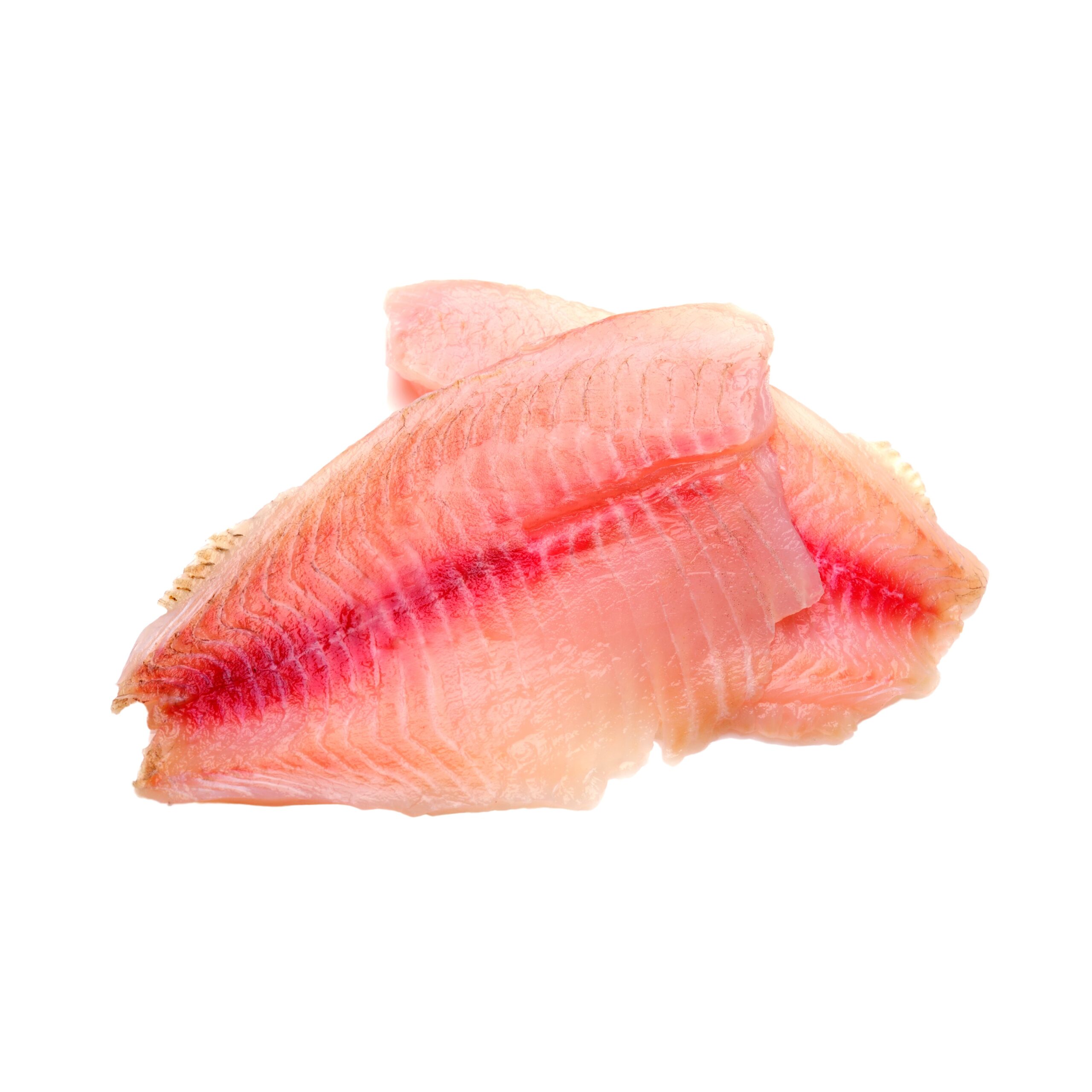 Shady Maple logo showing the words "shady maple" in all capital letters, red with gold trim, over a red maple leaf with gold veining.