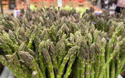 Fresh Local Asparagus Now in Season at Shady Maple Farm Market!