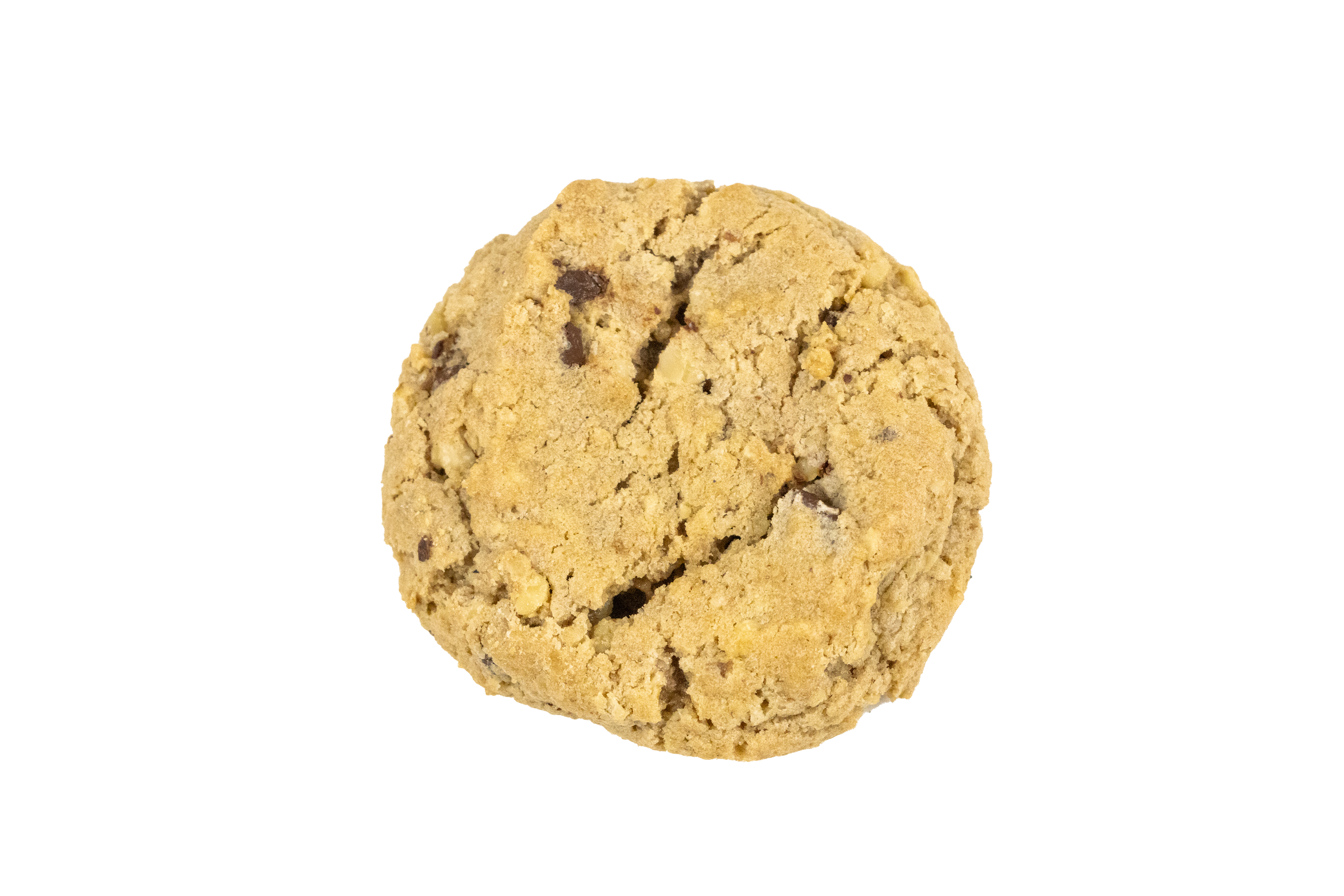 Chocolate Chip