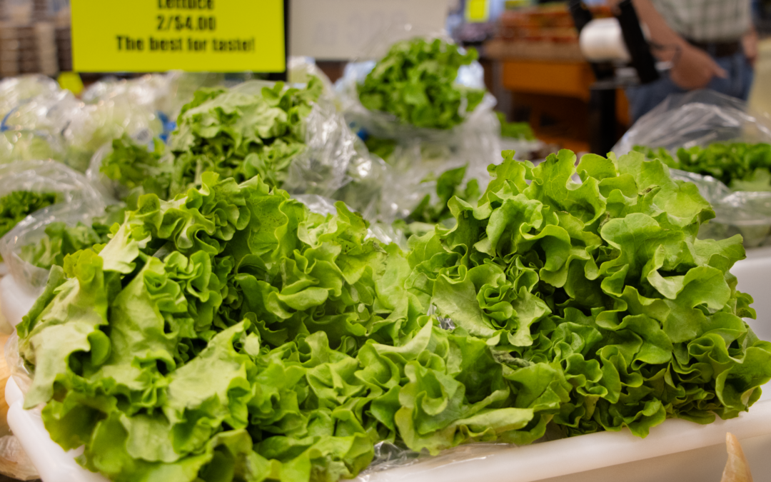 First of the Season! Local Spring Produce Has Arrived