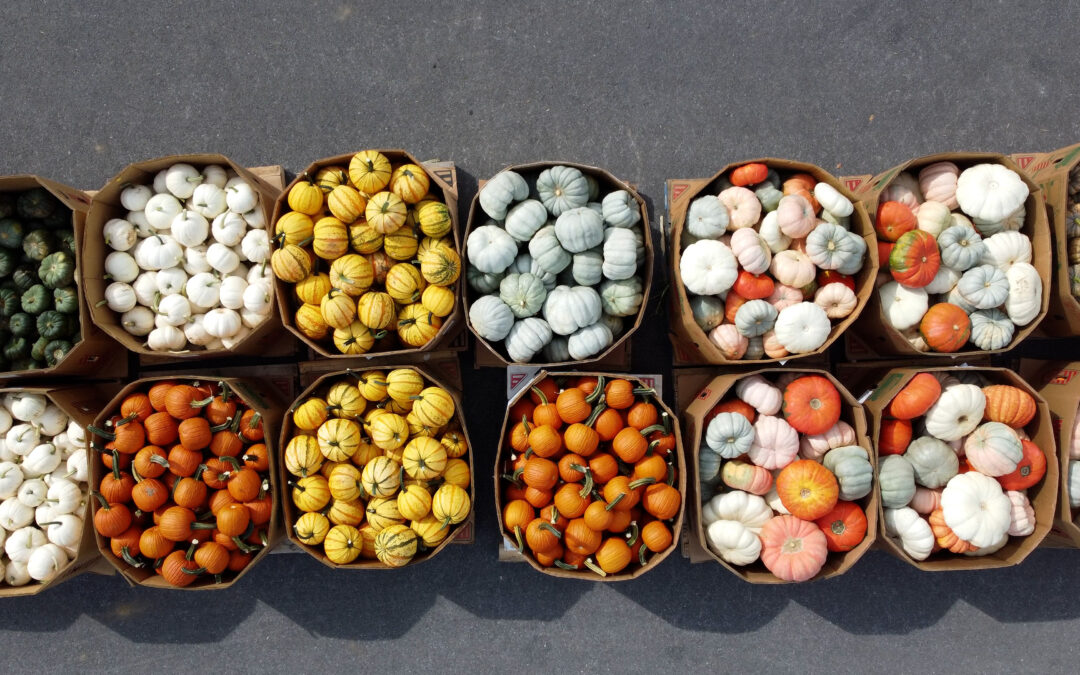 Fresh Fall Lancaster County Produce at Shady Maple Farm Market