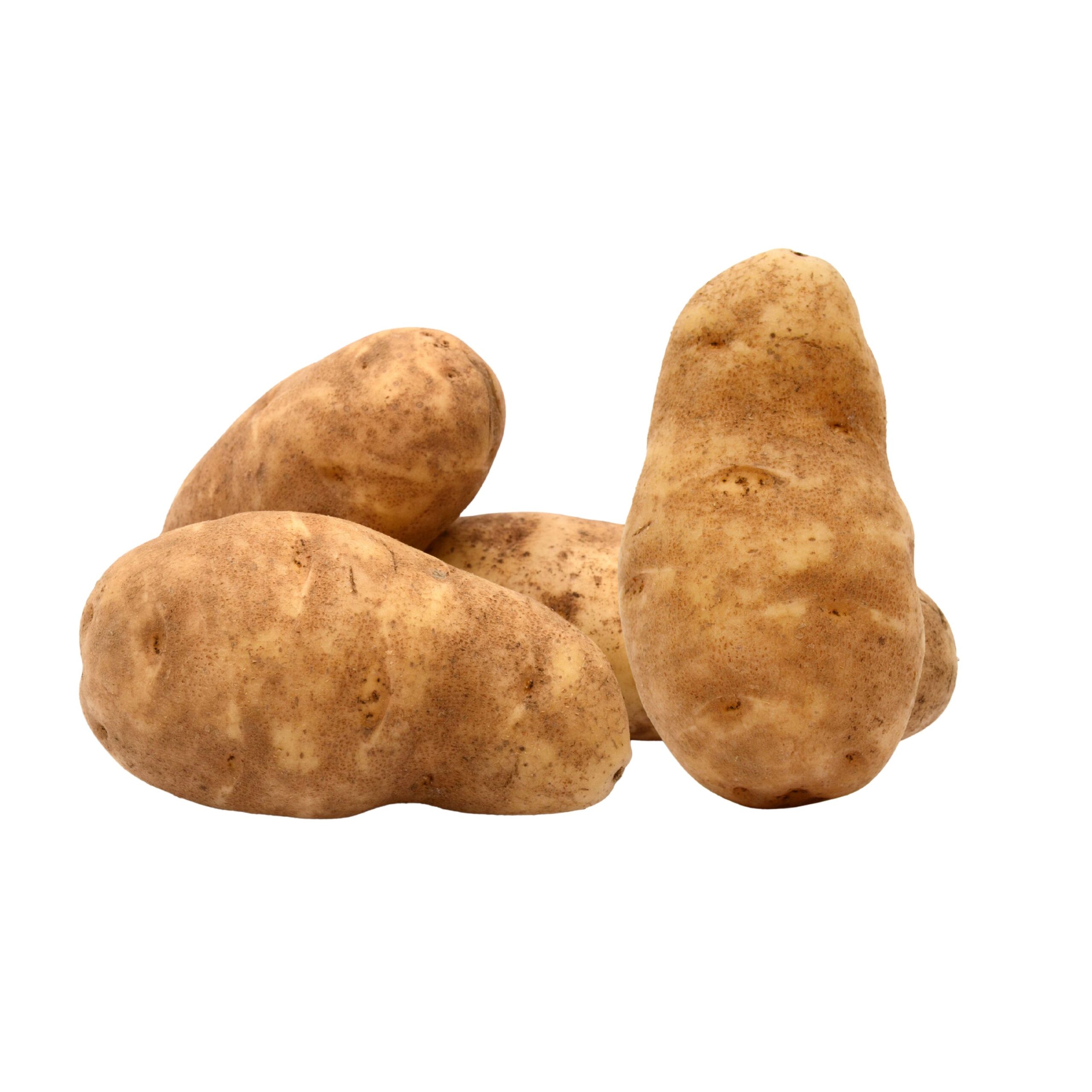 White Chocolate Macadamia