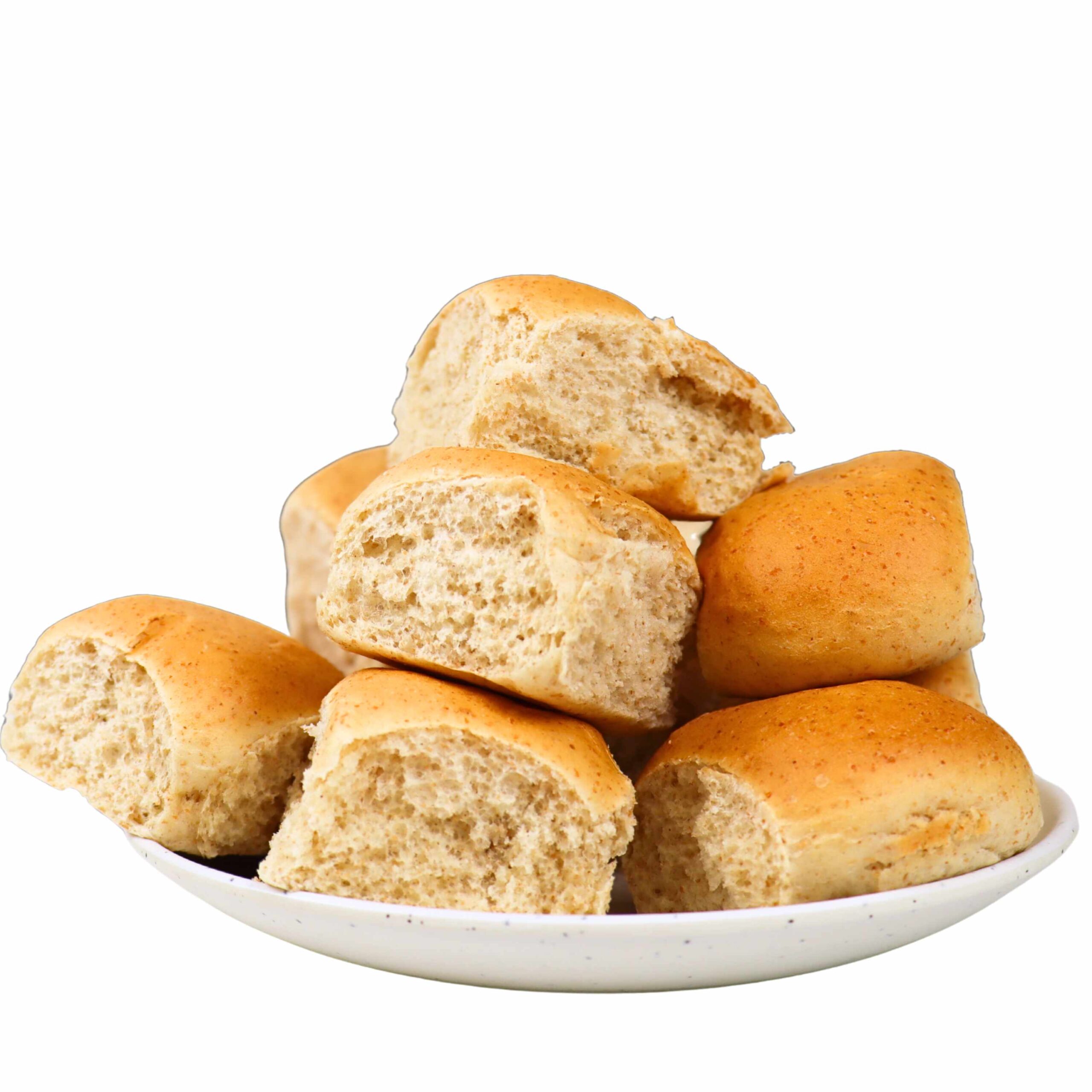 Shady Maple logo showing the words "shady maple" in all capital letters, red with gold trim, over a red maple leaf with gold veining.